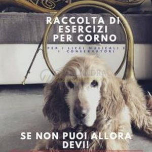 RACCOLTA DI ESERCIZI PER CORNO (D. Citera)