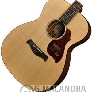 RICHWOOD A-20 E elettrificata