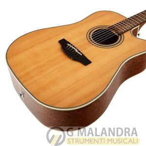 TAKAMINE GD20CE NS