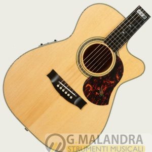 MATON EBG808CTE Tommy Emmanuel custodia inclusa
