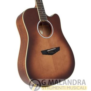 D’ANGELICO  EXCEL BOWERY AUTUMN BURST ( ELETTRIFICATA )