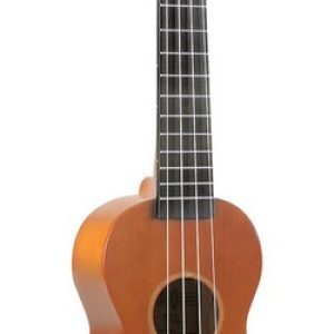 UKULELE RAINBOW MARRONE +BORSA