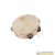 Tamburello in acero con pelle naturale e piattelli 10″ SOUNDSATION ST2R-10